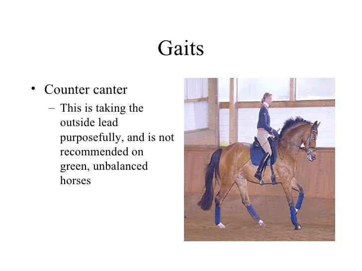 Gaits And Movement