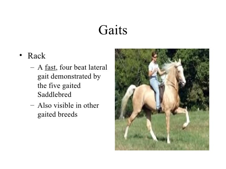Gaits And Movement