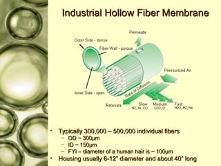 Industrial Hollow Fiber Membrane Typically 300,000 – 500,000 individual fibers OD ~ 300 μ m ID ~ 150 μ m FYI – diameter of a human hair is ~ 100 μ m Housing usually 6-12” diameter and about 40” long 
