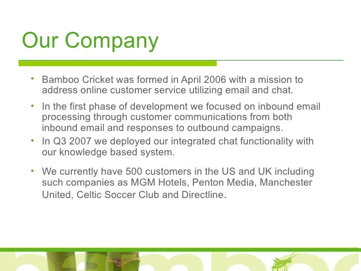 cricket customer service line