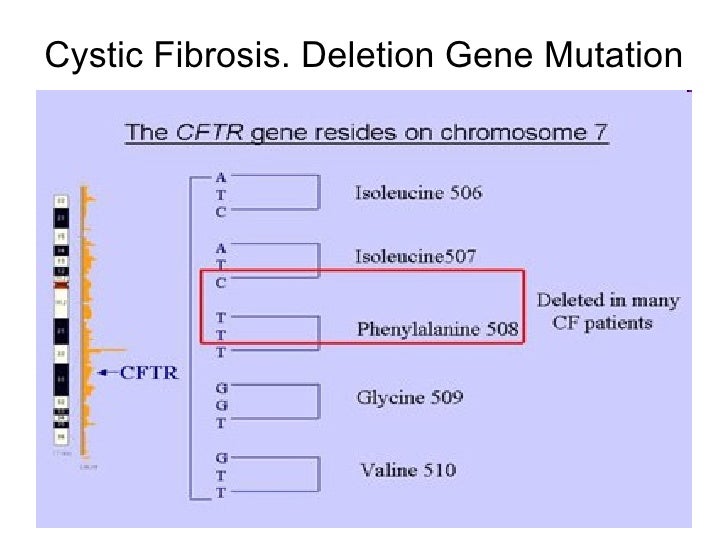 Bio 10 Mutations