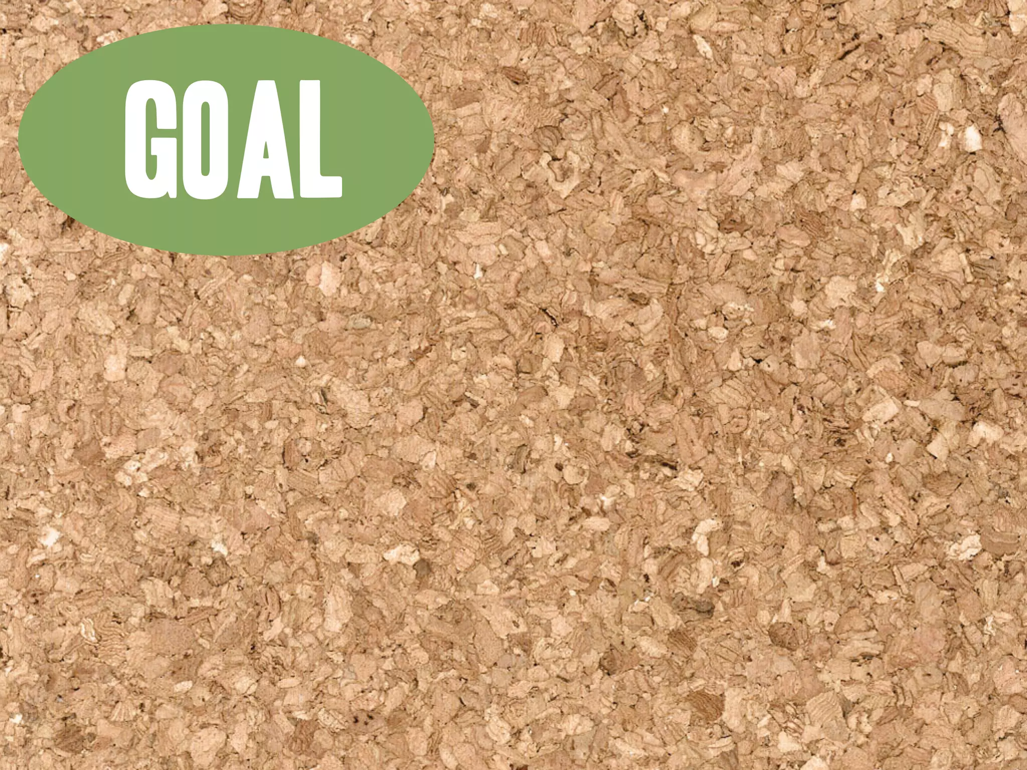 Goodwill Central Virginia Presentation