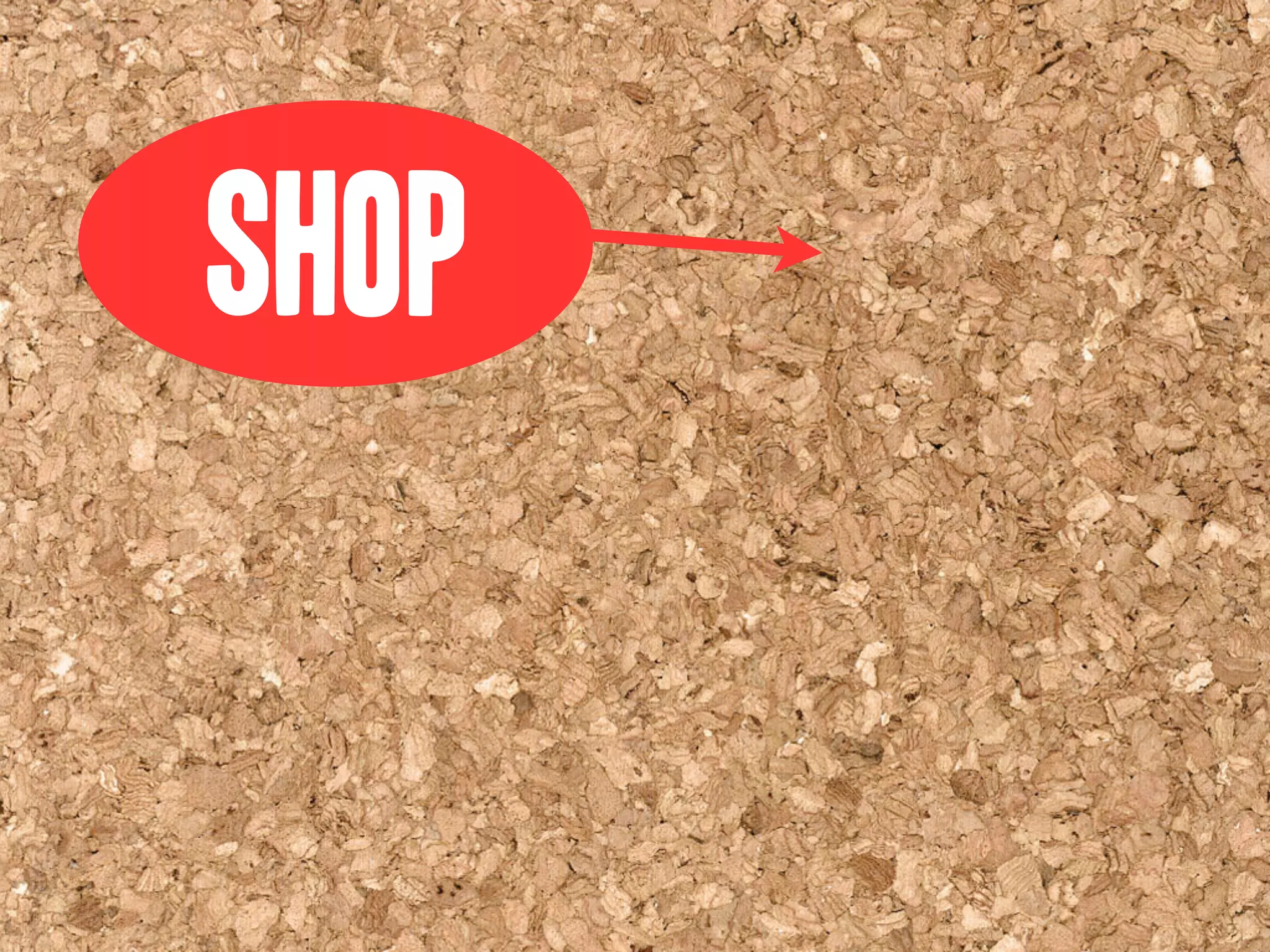 Goodwill Central Virginia Presentation