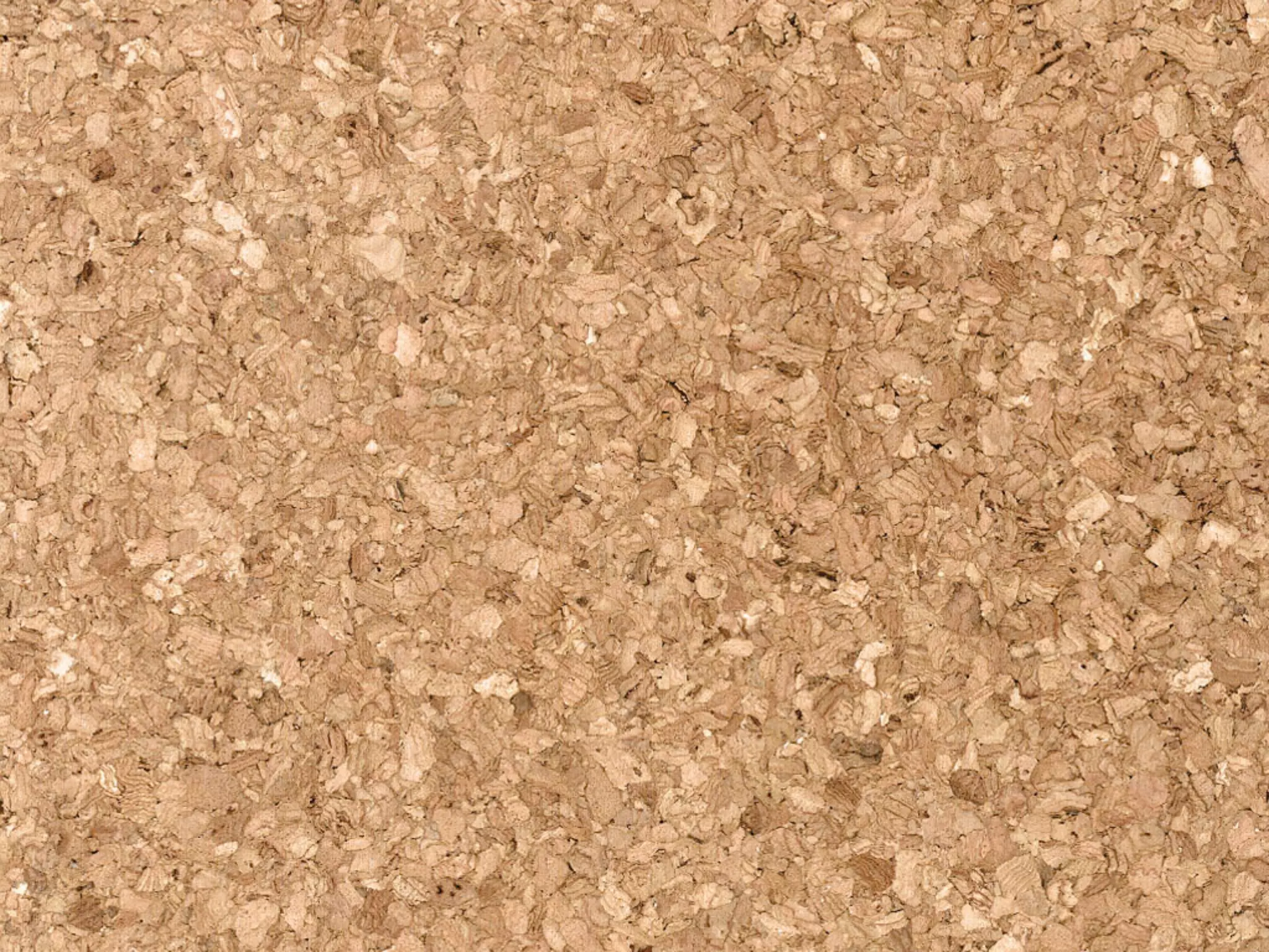 Goodwill Central Virginia Presentation