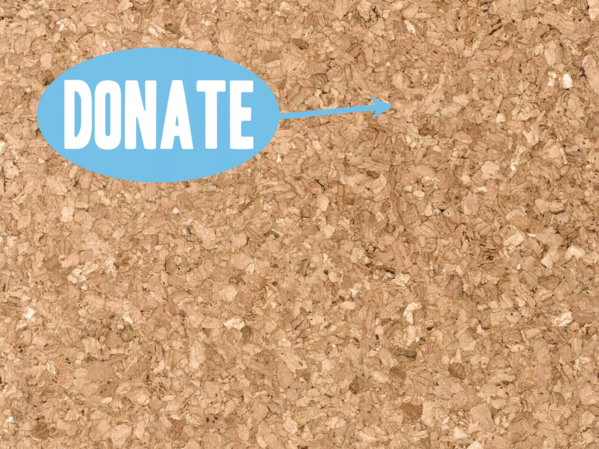 Goodwill Central Virginia Presentation