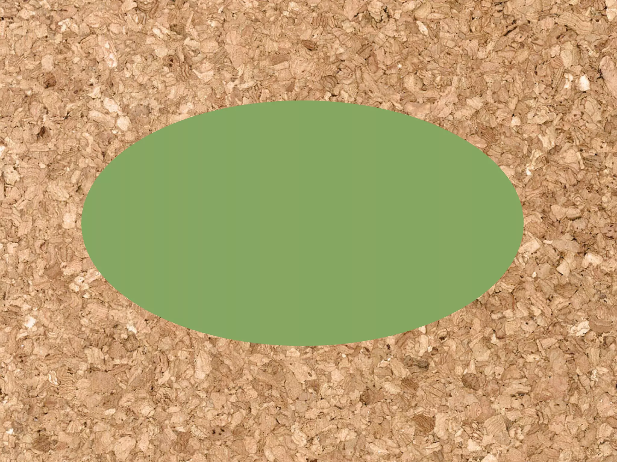 Goodwill Central Virginia Presentation