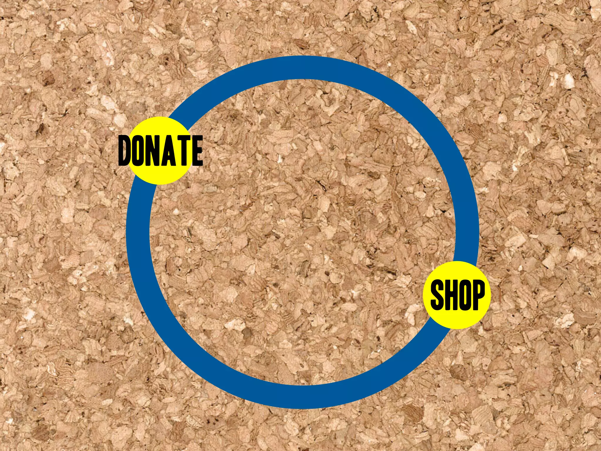 Goodwill Central Virginia Presentation