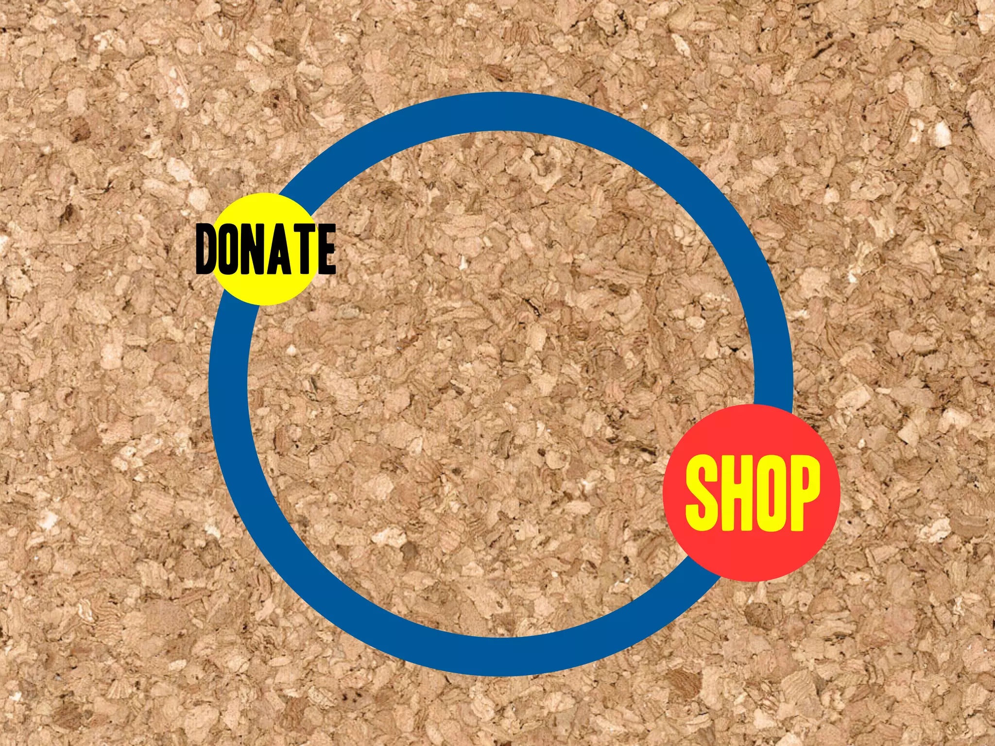 Goodwill Central Virginia Presentation