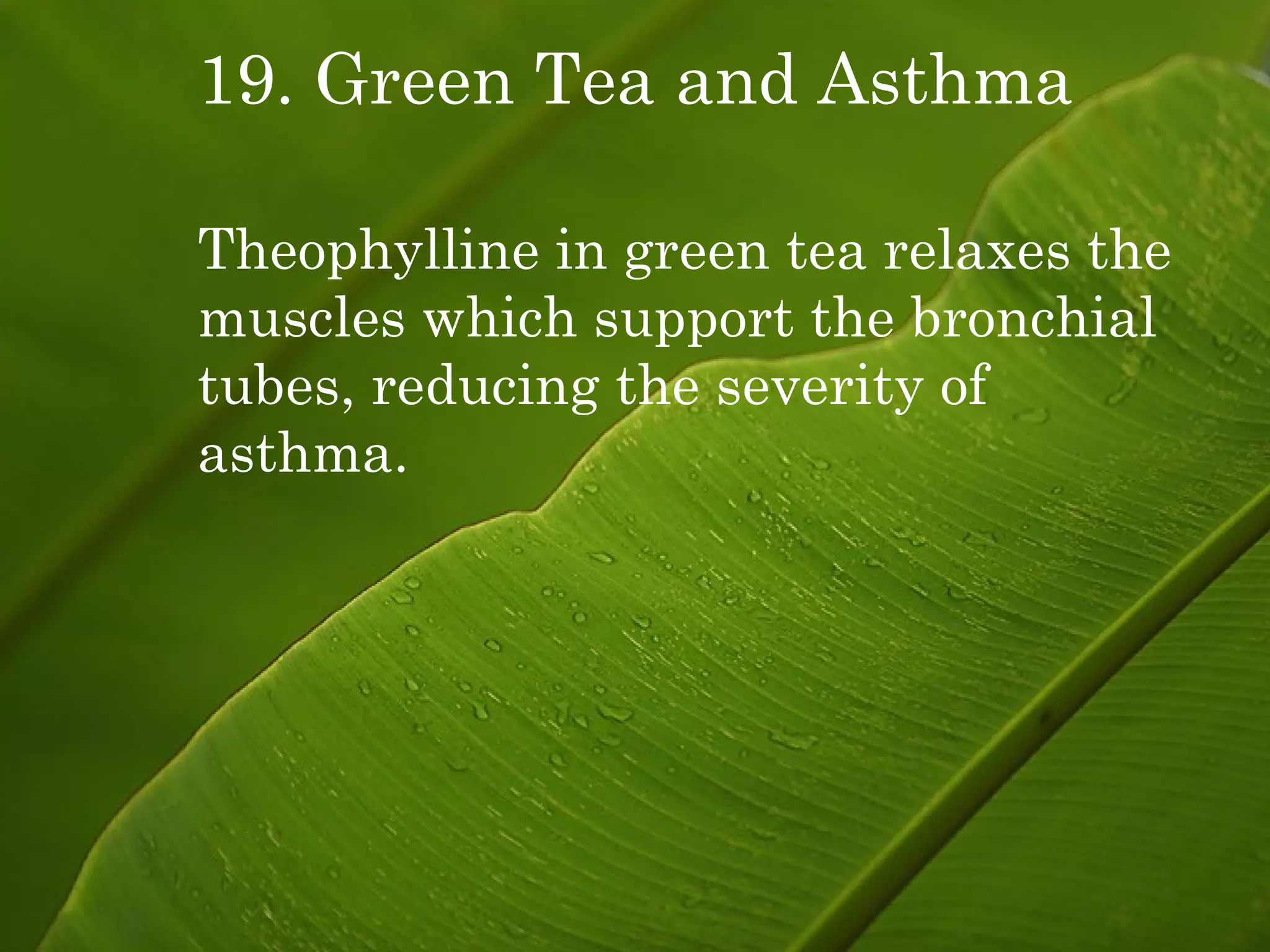 19. Green Tea and Asthma Theophylline in green tea relaxes the muscles which support the bronchial tubes, reducing the severity of asthma. 