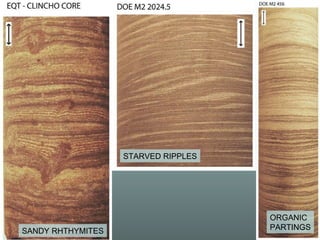 STARVED RIPPLES SANDY RHTHYMITES ORGANIC  PARTINGS 