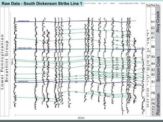 Raw Data - South Dickenson Strike Line 1 