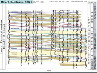 Minor Lithic Sands - SDS 1 