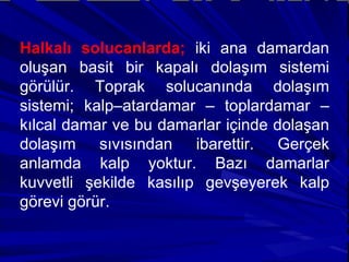 Halkalı solucanlarda;  iki ana damardan oluşan basit bir kapalı dolaşım sistemi görülür. Toprak solucanında dolaşım sistemi; kalp–atardamar – toplardamar – kılcal damar ve bu damarlar içinde dolaşan dolaşım sıvısından ibarettir. Gerçek anlamda kalp yoktur. Bazı damarlar kuvvetli şekilde kasılıp gevşeyerek kalp görevi görür.  