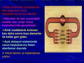 Kalp tarafından pompalanan kan doğrudan vücut boşluklarına (sinüs) dökülür. Hücreler ile kan arasındaki madde alış verişi vücut boşluklarında gerçekleşir. Artık maddelerle kirlenen kan daha sonra kısa damarlar ile kalbe geri gider. Açık dolaşım sisteminde vücut boşluklarına ileten atardamar dışında  Kılcal damar ve toplardamar yoktur. 