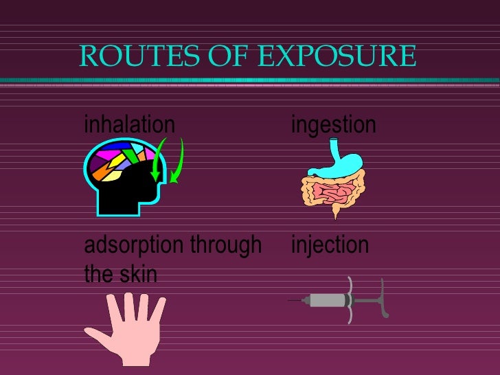 Hazardous Materials Handling Overview
