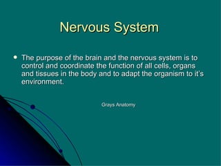 Nervous System The purpose of the brain and the nervous system is to control and coordinate the function of all cells, organs and tissues in the body and to adapt the organism to it’s environment. Grays Anatomy 