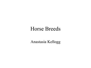 Horse Breeds Anastasia Kellogg 