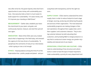 Chief Sustainability Officer Role in Corporations