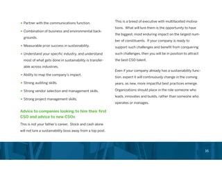 Chief Sustainability Officer Role in Corporations