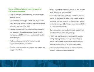 Chief Sustainability Officer Role in Corporations