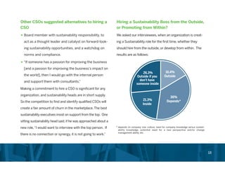 Chief Sustainability Officer Role in Corporations