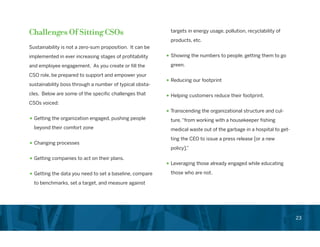 Chief Sustainability Officer Role in Corporations