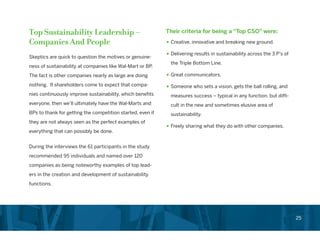 Chief Sustainability Officer Role in Corporations