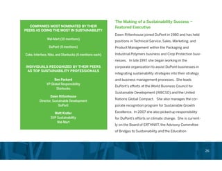 Chief Sustainability Officer Role in Corporations