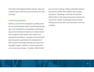 Chief Sustainability Officer Role in Corporations