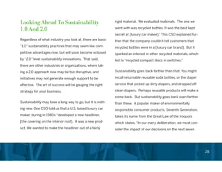 Chief Sustainability Officer Role in Corporations