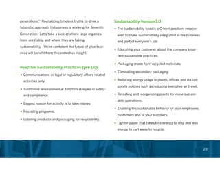 Chief Sustainability Officer Role in Corporations