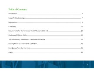 Chief Sustainability Officer Role in Corporations