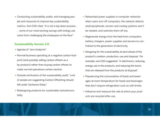 Chief Sustainability Officer Role in Corporations