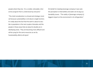 Chief Sustainability Officer Role in Corporations