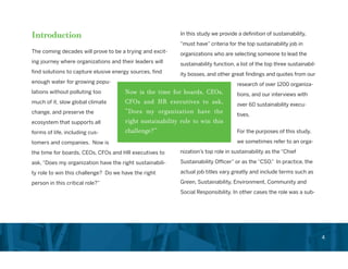 Chief Sustainability Officer Role in Corporations