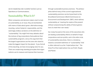 Chief Sustainability Officer Role in Corporations