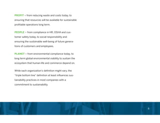 Chief Sustainability Officer Role in Corporations