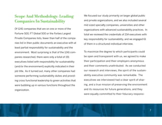 Chief Sustainability Officer Role in Corporations