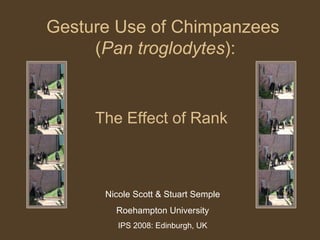The Effect of Rank Nicole Scott & Stuart Semple Roehampton University IPS 2008: Edinburgh, UK Gesture Use of Chimpanzees  ( Pan troglodytes ): 