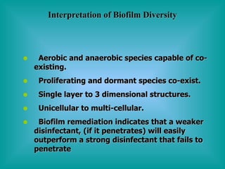 Interpretation of Biofilm Diversity Aerobic and anaerobic species capable of co-  existing. Proliferating and dormant species co-exist. Single layer to 3 dimensional structures. Unicellular to multi-cellular. Biofilm remediation indicates that a weaker disinfectant, (if it penetrates) will easily outperform a strong disinfectant that fails to penetrate  
