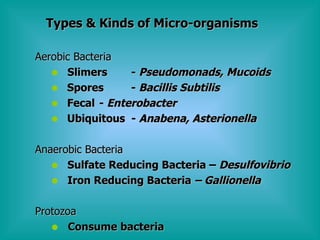 Aerobic Bacteria Slimers -  Pseudomonads, Mucoids   Spores -  Bacillis Subtilis   Fecal -  Enterobacter Ubiquitous  -  Anabena, Asterionella Anaerobic Bacteria Sulfate Reducing Bacteria –  Desulfovibrio Iron Reducing Bacteria  – Gallionella Protozoa Consume bacteria Types & Kinds of Micro-organisms 