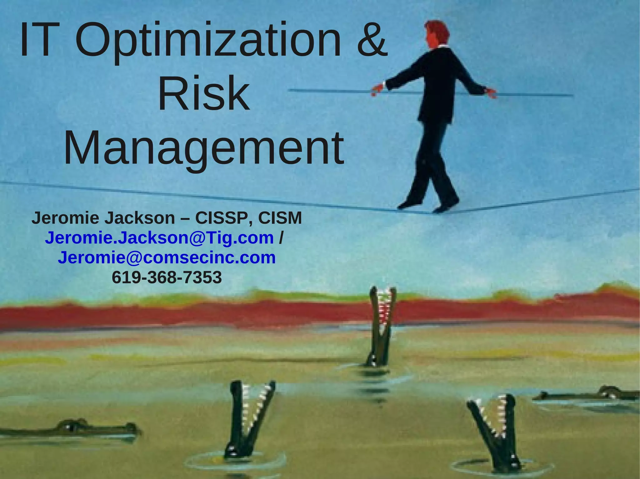 IT Optimization & Risk Management