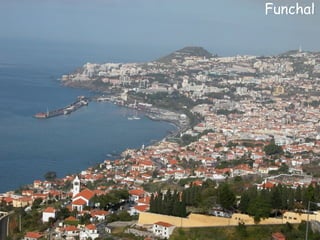Funchal 