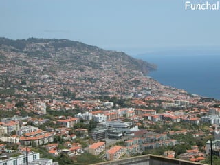 Funchal 