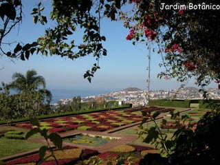 Jardim Botânico 