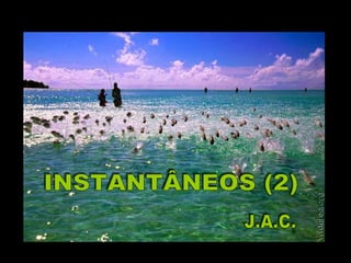 INSTANTÂNEOS (2) J.A.C. 
