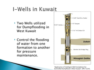 Dumpflood Project.pdf Intelligent Fields: A New Era for Oil and Gas Field Development | PPT