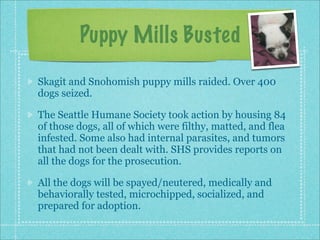 Interview2: Seattle Humane Society
