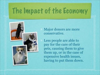 Interview2: Seattle Humane Society