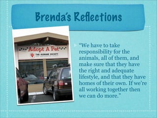 Interview2: Seattle Humane Society